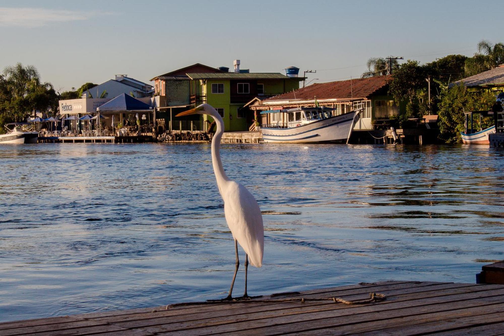 Pousada Quinta Da Margem Florianópolis Buitenkant foto